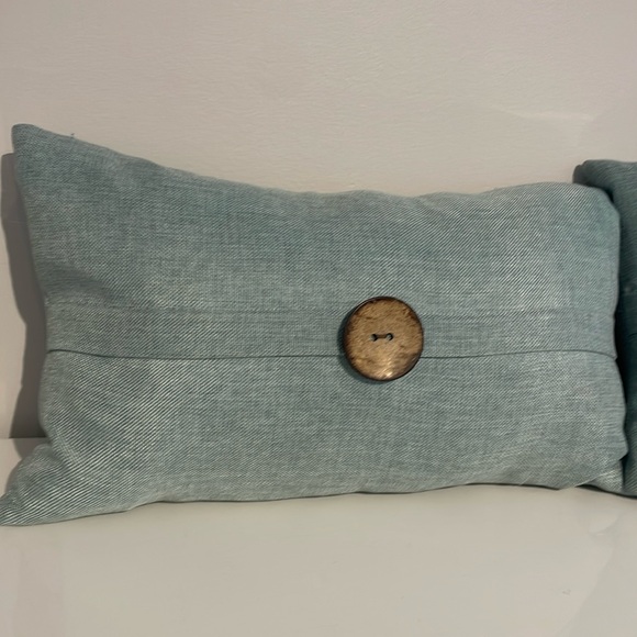 EUC Set of 2 Beautiful Rectangular Duck Filled Accent Pillows - Picture 1 of 13